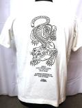 5500PT 半袖Tシャツ 55 Liam Alvy